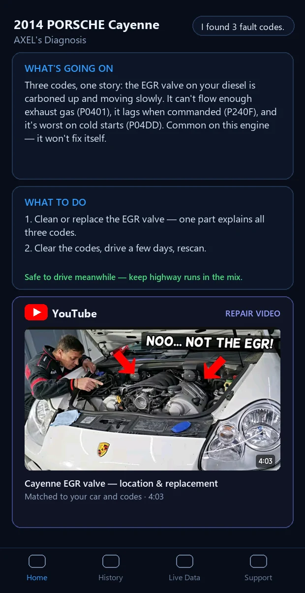 AXEL's diagnosis for the Cayenne: the EGR fault explained, with every module checked.